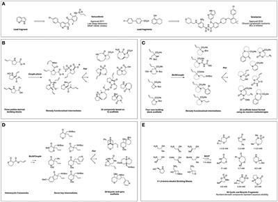 Recent Applications of Diversity-Oriented Synthesis Toward Novel, 3-Dimensional Fragment Collections